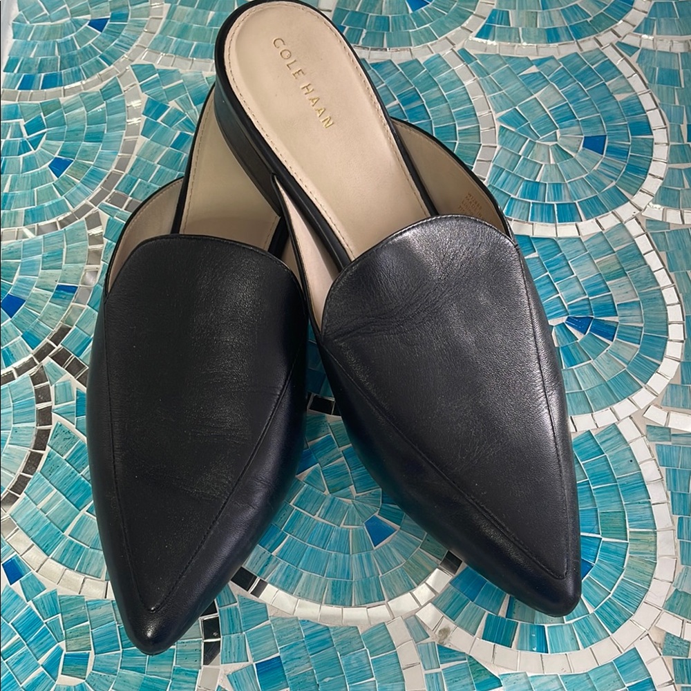 COLE HAAN flats